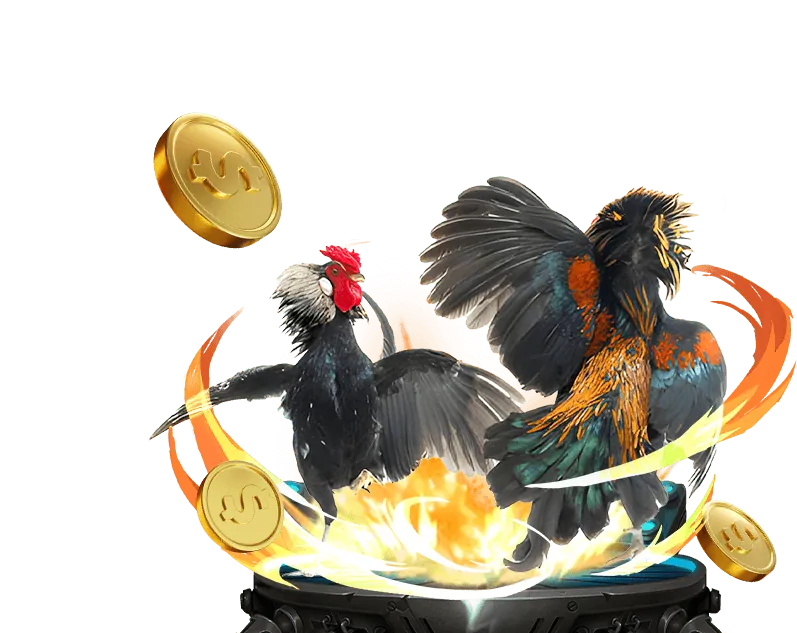 Hỗ trợ đối tác ku casino mobile